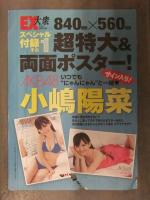 雑誌付録 小嶋陽菜 超特大 両面ポスター 840x560mm　未開封 EX大衆