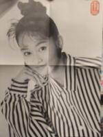 T.Y.O. ティー・ワイ・オー 1989年2月Vol.11　南野陽子 中山忍 渡辺満里奈 他ポスター2枚付&渡辺満里奈 中山忍 森高千里 小川範子 河田純子