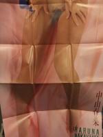 中山春菜　おとこの遊び専科付録　等身大ヘアヌードポスター　未使用品　外袋付　174.4ｘ59.8センチ　AV女優
