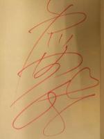 美品 直筆サイン入り 市川由衣 写真集 yuiche!grazie 集英社 初版 帯付