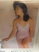 斉藤慶子 1989年カレンダー　6枚綴り＋表紙（切り離し）　女優
