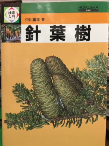 検索入門　針葉樹　中川重年　保育社　レア　本　植物　樹木　特徴　性質 2025年最新検索入門 樹木の人気アイテム - メルカリ