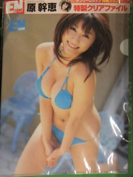 原幹恵 両面ビキニクリアファイル 約22ｘ32センチ 未開封 プリントサイン入り ブック ダッシュ 古本 中古本 古書籍の通販は 日本の古本屋 日本の古本屋