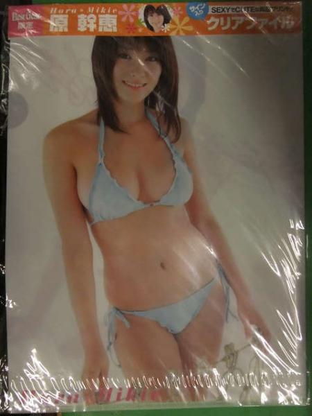 原幹恵 両面ビキニクリアファイル 約22x32センチ 未開封 プリント