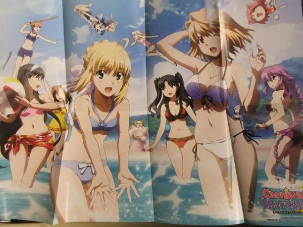 秋葉原電気外祭り 2011年夏 公式ビジュアルブックレット 付属トレカ未