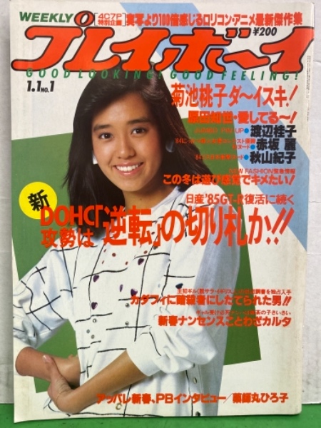 菊池桃子　ヌード 