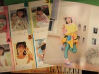 柏原芳恵　GALLERY　ギャラリー　LPレコード　ポストカード付　春なのに　ハロー・グッバイ　あの場所から　他