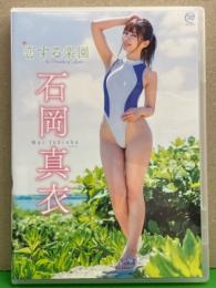 グラビアDVD 石岡真衣 「恋する楽園」　国内正規 セル品