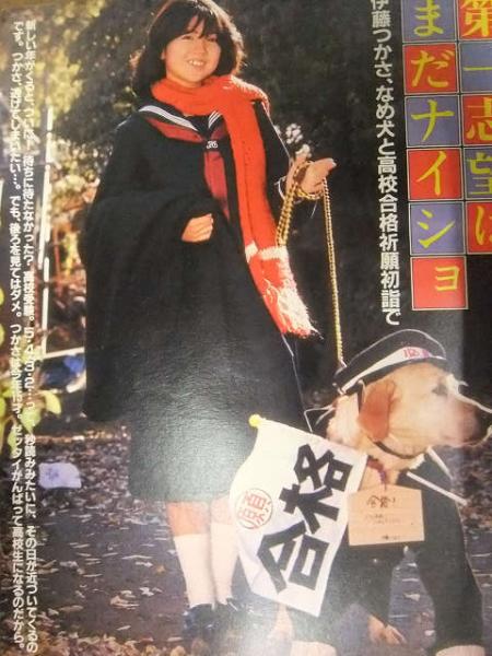 明星 1982年2月 ヤンソン付き。河合奈保子・松田聖子・柏原