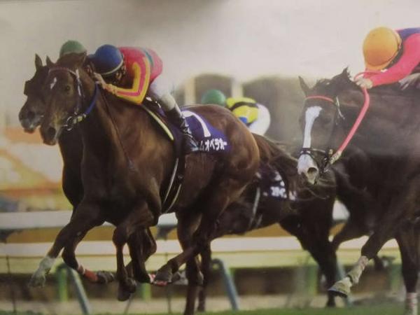 勝馬 2002年カレンダー テイエムオペラオー アグネスタキオン