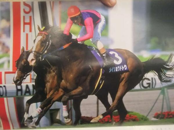 勝馬 2002年カレンダー テイエムオペラオー アグネスタキオン