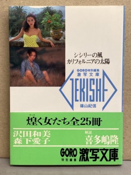 週刊プレイボーイ 1999年5月25日 第34巻No.21 深田恭子・竹内 週刊プレイボーイ 1999年5月25日 第34巻No.21 深田恭子・竹内