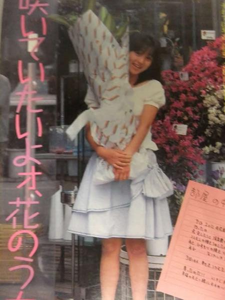 明星 1987年8月 ヤンソン付 渡辺満里奈 渡辺美奈代 後藤久美子 明星 1987年8月 ヤンソン付 渡辺満里奈 渡辺美奈代 後藤久美子