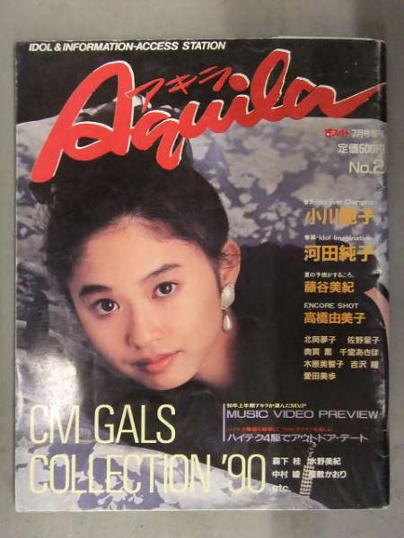 Aquila アキラ No 2 すっぴん増刊 小川範子 星野陽子 河田純子 水野美紀 奥貫薫 北岡夢子 藤谷美紀 千堂あきほ 愛田美歩 吉沢瞳 佐野量子 木原美智子 高橋由美子 森下桂 中村綾 屋敷かおり 他 英知出版 古本 中古本 古書籍の通販は 日本の古本屋 日本の古本屋
