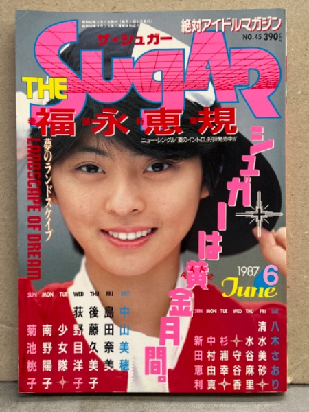 ザ シュガー THE Sugar 1987年6月 No.45 福永恵定規 巻頭特集・水谷
