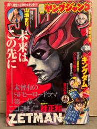 週刊ヤングジャンプ　2014年8月7日 No.34　山地まり ビキニ7p　他