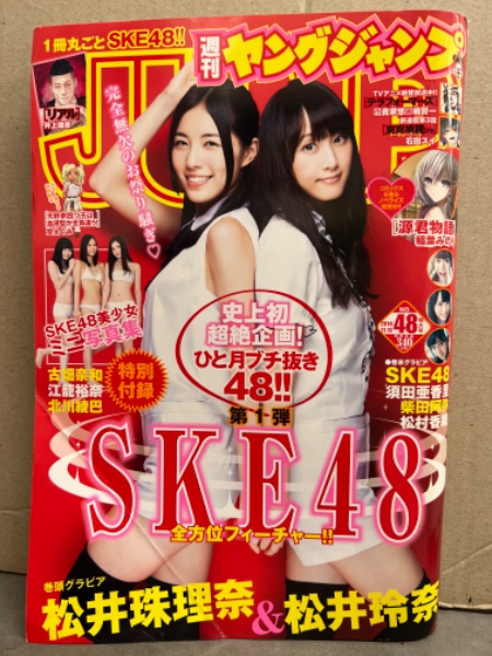 週刊ヤングジャンプ 2014年11月13日 No.48 SKE48 ミニブック小冊子付