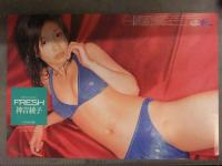 直筆サイン入り DVDジャケット　神吉綾子　「FRESH」　