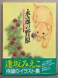 逢坂みえこ イラスト集 「永遠の野原」　初版 両面イラストピンナップ付き ぶーけ特別編集