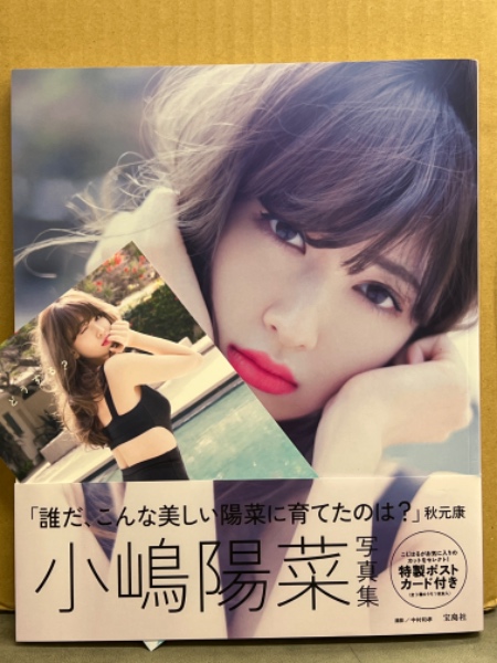 期間限定特別価格 AKB48 小嶋陽菜 帯・ポストカード付き 「どうする？」 写真集 アイドル