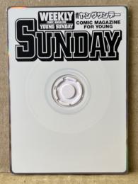 週刊ヤングサンデー　WEEKLY YOUNG SUNDAY Special IDOL Card-ROM 2001　カード型8cm CD-ROM Windows用　盤質良好