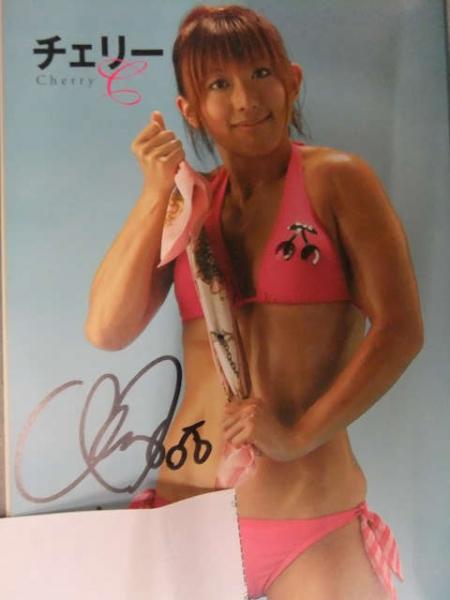 チェリー 直筆サイン入 女子プロレスラー写真集 「装鋼麗女」 バンビ
