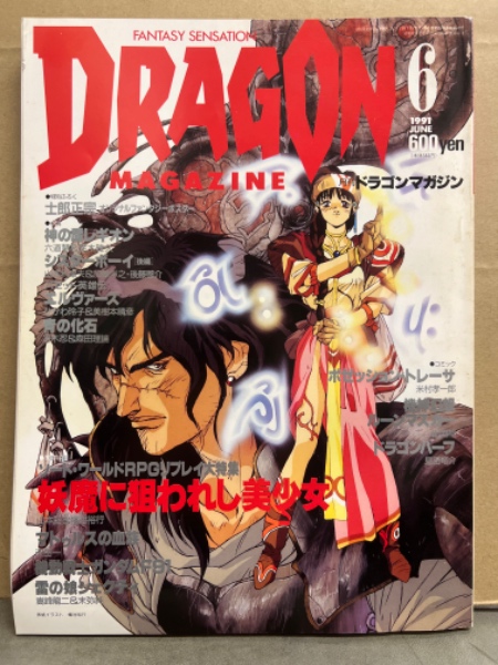 【値段交渉可】月刊ドラゴンマガジン　1989年3月～12月号
