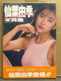 仙葉由季 写真集　ティファニーBOOKS　初版　クリアケース・帯付き　AV女優ヌード