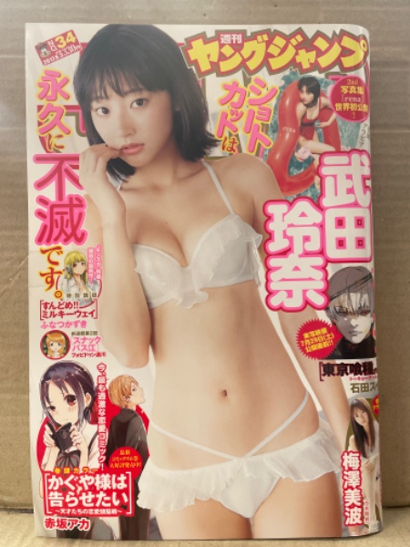 週刊ヤングジャンプ 2017年8月3日 No.34 武田玲奈 ビキニ 7p・梅澤美波