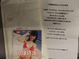 当選品 2007年 しほの涼 ビキニ 卓上カレンダー　ヤングガンガン アイドルプレミアムグッズ