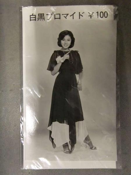 浅野ゆう子 プロマイド20枚 未開封 浅野ゆう子 白黒プロマイド 13.6x8.7cm ブロマイド / 古本