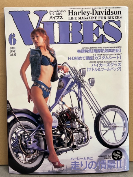 vibes ヌード 