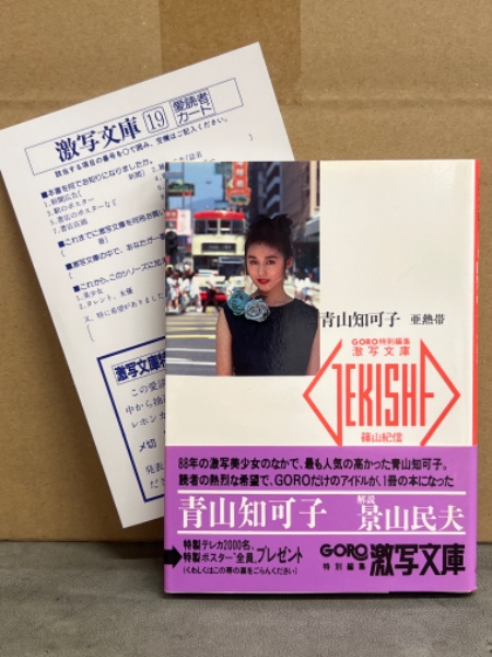 女優 青山知可子 ヌード写真集 「亜熱帯」 初版 帯・愛読者カード付