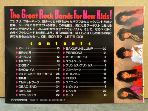 Dunk ダンク 1989年11月 別冊付録 ロックバンド名鑑（PRINCESS
