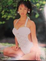 FLASH EXCITING フラッシュエキサイティング　1995年7月14日　通巻20号 坂木優子 神乃毬絵 木村絵理奈　コミック大研究51ページ特集
