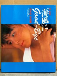 杉本彩 写真集 「海風にGood-Bye ON SHORE」