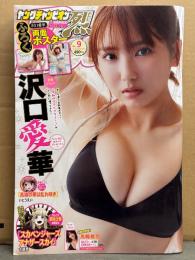 ヤングチャンピオン烈 2024年9月30日 No.9　沢口愛華 両面ピンナップ＋ビキニ7p・高鶴桃羽 ビキニ5p　他