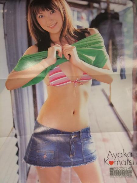 週刊ヤングサンデー 2007年6月7日 山本梓・小松彩夏 両面ビキニ