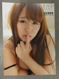 白石茉莉奈 AV女優　生写真　巨乳　下着　SOD star　17.8ｘ12.7センチ