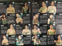 複数直筆サイン入　That's Sports variety show DDT Dramatic Dream tour 2013 アントニオ本多 大石真翔 中澤マイケル 大鷲透 平田一喜