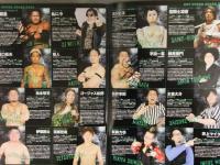 複数直筆サイン入　That's Sports variety show DDT Dramatic Dream tour 2013 アントニオ本多 大石真翔 中澤マイケル 大鷲透 平田一喜