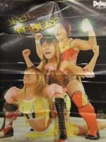 週刊プロレス別冊 デラックスプロレス・ハイパー 2003年11月 ポスター付 里村明衣子 高橋奈苗 永島千佳世 納見佳容 女子プロレスラー