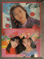明星付録 アイドルポストカードブック 16枚分 中山美穂 小川典子 男闘呼組 WINK 宮沢りえ 中山忍 渡辺満里奈 SMAP