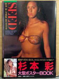 杉本彩 大型ポスターBOOK 「SEED」　初版 帯付き　全68シーン23枚　最大約38ｘ104センチ　写真集
