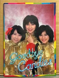 キャンディーズ　ありがとうカーニバル　Good bye Candies　大判パンフレット　約36ｘ25.5センチ　田中好子 伊藤 蘭 藤村美樹