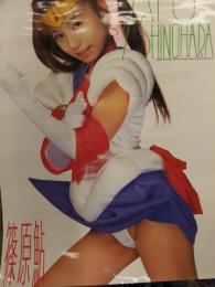 篠原鮎　AV販促ポスター　AV女優　A2サイズ セクシームーン　ハイレグ　コスプレ　メシア