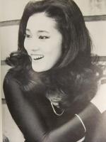ITCH 私のハズは透明人間 阿久悠 浅野ゆう子 ピーター 布施明 佐藤蛾次郎 ITCH GIRLS 田中敦子 岡本直美 吉野高子 大判パンフレット