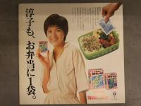 桜田淳子 Photo Collection 大判フォトコレクション　チラシ付き　約26x24.5cm