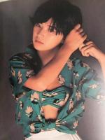 桜田淳子 Photo Collection 大判フォトコレクション　チラシ付き　約26x24.5cm
