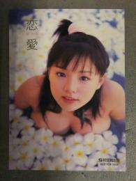 篠崎愛 ビキニ トレカ　彩文館出版 写真集プロモーション　トレーディングカード